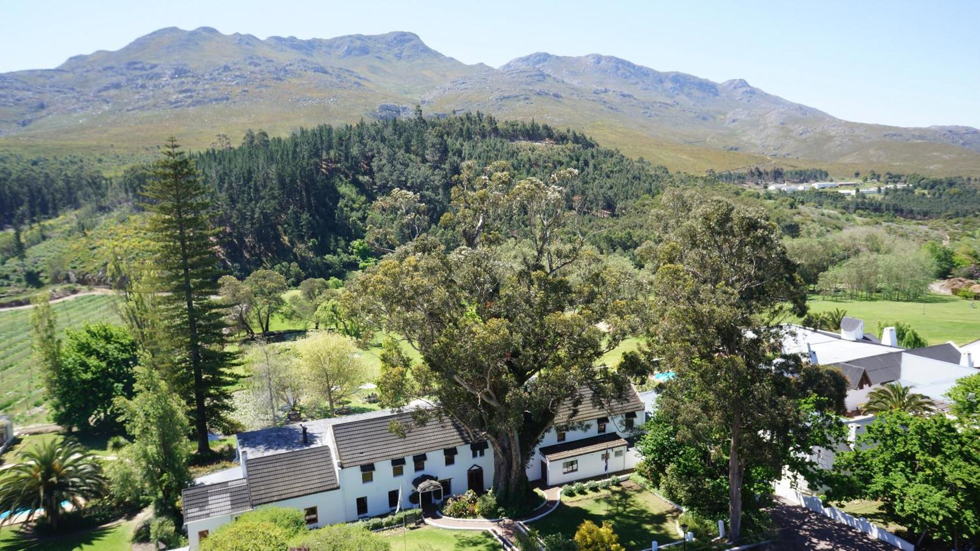 Houw Hoek Hotel ボット・リバー エクステリア 写真
